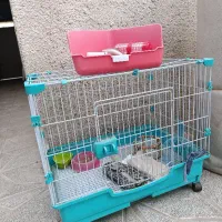قفس خرگوش