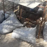 قفس بزرگ
