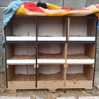 قفس مرغ یا کبوتر