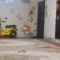ساختمان