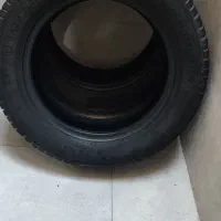 دو عدد لاستیک ساینا