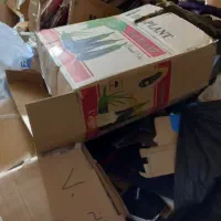 کارتن ضایعاتی