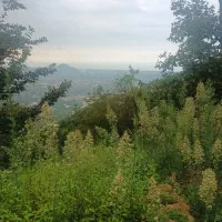 زمین۲۷۵متری،مسکونی تودارک تنکابن،باویو جنگل و دریا|فروش زمین و ملک کلنگی|دالخانی, |دیوار