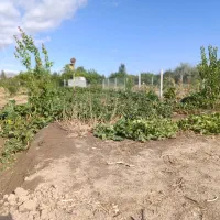 باغ 1000متری سنددار دولت آباد مرند|فروش دفتر صنعتی، کشاورزی، تجاری|مرند, |دیوار