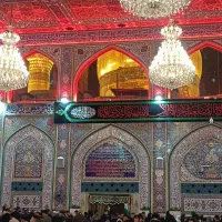 کربلا ویژه ولادت امام علی