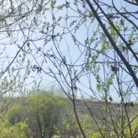 زمین در شهرستان خفر