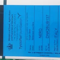 بزر چغندر|گل و گیاه طبیعی|سرپل ذهاب, |دیوار