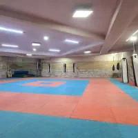 باشگاه  رزمی.مربی فعال میپذیرد