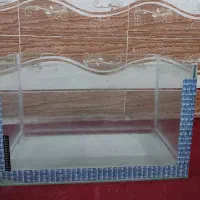 اکواریوم