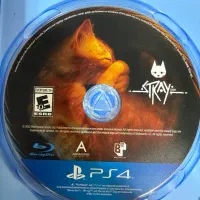 فقط بعد ساعت ۵حظور دارم