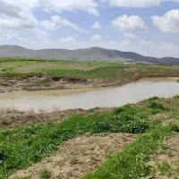 1-هکتار-ونیم-زمین-اجاره-برای-ذرت-و-آفتابگردان