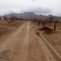 زمین|فروش زمین و ملک کلنگی|مهریز, |دیوار