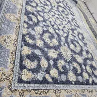 فرش با شرایط ویژه درشوش دانیال|فرش|شوش, |دیوار