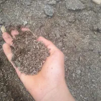 کود حیوانی خاک سیاه