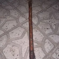 چوب ارجن