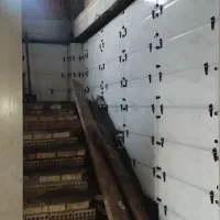 کاشی کاری|خدمات پیشه و مهارت|فاضل آباد, |دیوار