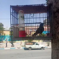 سهره وقناری