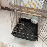 قفس طوطی و عروس هلندی|لوازم جانبی حیوانات|شهریار, شهریار|دیوار