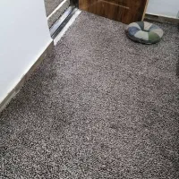 موکت پالاز در حد نو|موکت|آبادان, |دیوار