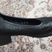 کفش زنانه|کیف، کفش، کمربند|اردبیل, |دیوار