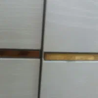 نیرو خانم جهت کارگاه