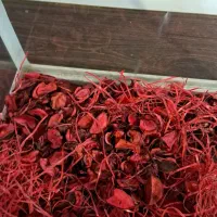 جعبه هدیه شیشه ای یا خونه همستر و خرگوش|لوازم جانبی حیوانات|مشهد, کوی سیدی|دیوار