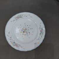 ۵عددپیش دستی لومینارک فرانسه.کم کارکرده