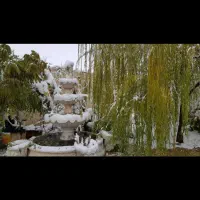 تولد-جشن-عقدو-نامزدی-وکلیپ-عروس-وداماد