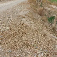 زمین ۳۲۰۰ متری با بر ۳۰ متر بر جاده  و برق سر زمین|فروش زمین و ملک کلنگی|جوادآباد, |دیوار