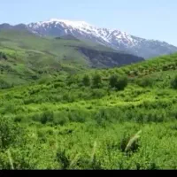 خانه ویلایی گلدشت