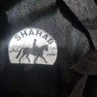 کلاه اسب سواری|اسب و تجهیزات اسب‌سواری|دزفول, |دیوار