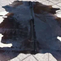 پوست گاو دباغی|فرش|مشهد, هنرستان|دیوار
