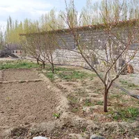 فروش گلخانه هیدروپونیک*فروش بعلت تغییر مکان*|فروش دفتر صنعتی، کشاورزی، تجاری|سلماس, |دیوار