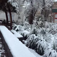 استخاره با قران وحرز امام جواد