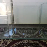 آکواریوم|ماهی|سقز, |دیوار