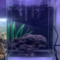 آکواریوم با تمامی تجهیزات|ماهی|لنگرود, |دیوار