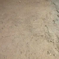 14قصب زمین دهوج راور