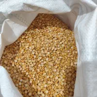 حبوبات|حراج|شیراز, لب آب|دیوار