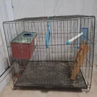 قفس پرنده