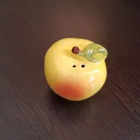 نمک پاش و ادویه پاش سرامیکی|ظروف سرو و پذیرایی|تهران, زنجان جنوبی|دیوار