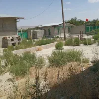 دامداری پرورش گوسفند۲۰۰راسی املاک سیدذاکر