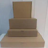 جعبه پیتزا|ظروف نگهدارنده، پلاستیکی، یکبارمصرف|شیراز, دوکوهک|دیوار