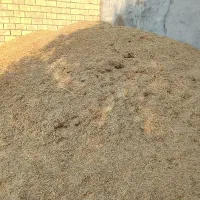کاه کمپاین