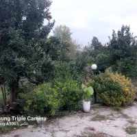 خانه-ویلایی