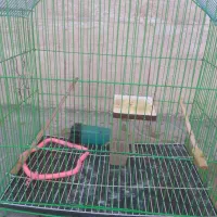 قفس|لوازم جانبی حیوانات|ملکشاهی, |دیوار