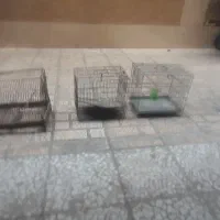 قفس پرنده