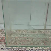 اکواریوم|ماهی|مشهد, کوه سنگی|دیوار