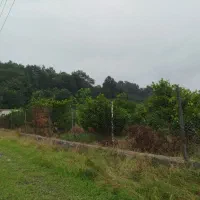 فروش یک قطعه زمین|اجارهٔ دفتر صنعتی، کشاورزی، تجاری|قائمشهر, |دیوار