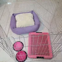 لوازم سگ خانگی|لوازم جانبی حیوانات|تهران, کوی بیمه|دیوار