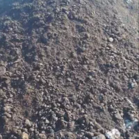 کود گاوی بدون تخمه علف